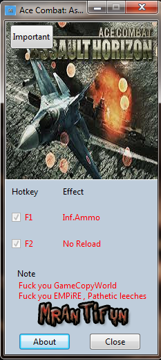 Ace Combat : Assault Horizon  +2 ()
