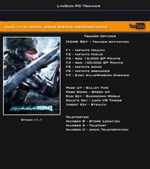 Metal Gear Rising: Revengeance  +14 ()