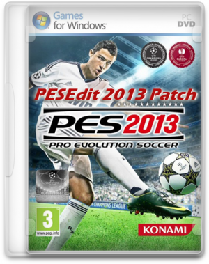 Pro Evolution Soccer 2013  1.03