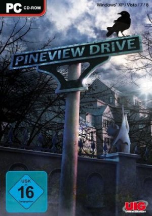 Pineview Drive crack 